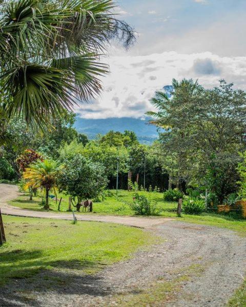 Linda Casa De Verano Con Amplias Zonas Verdes San Isidro De El General Kültér fotó