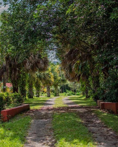 Linda Casa De Verano Con Amplias Zonas Verdes San Isidro De El General Kültér fotó